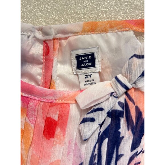 Janie & Jack Floral Rose Chiffon Sleeveless Pleat Swing Dress 2T - Picture 6 of 6